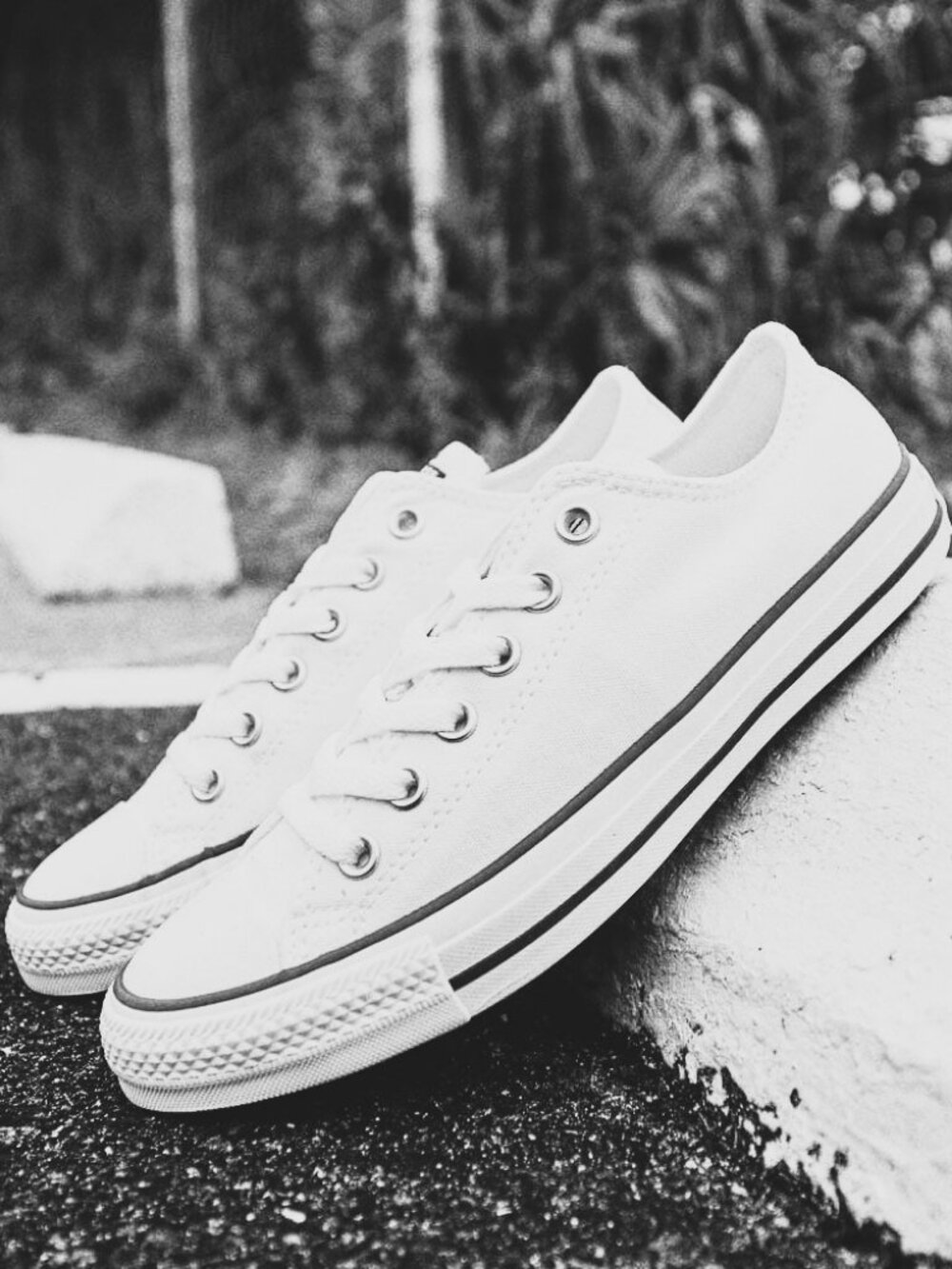 Converse Men's White Leather Low Top